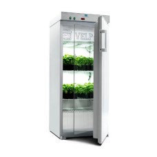Illuminated Incubator