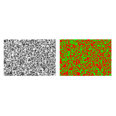Phase Analysis – Volume Fraction