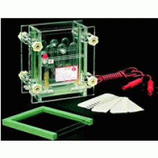 Electrophoresis