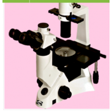 INVERTED BIOLOGICAL MICROSCOPE