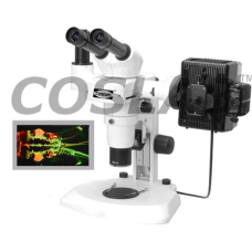 Fluorescent Stereo Zoom Microscope