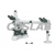 Multi-Head Viewing Microscope