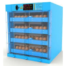 250 egg Incubator