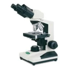 Binocular Microscope