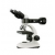 Metallurgical Microscope