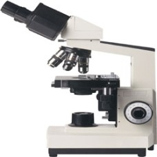 Compound Microscope