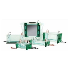Vertical Electrophoresis