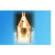 Steam Boiler Copper