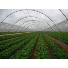 Agriculture Shade Net Manufacturing Service