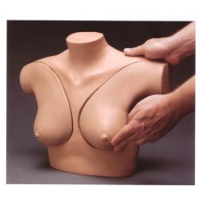 Breast Self Examination