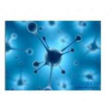 Boiler Water Oxygen Scavenger Using Sulphite