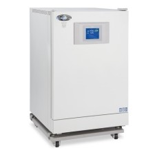 Incubator