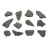 12 Pack Raw Carbonaceous Shale, Sedimentary Rock Specimen