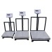 Electronics Platform Weighing Scale