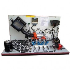 Multi Port Fuel Injection System