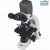 Microscope