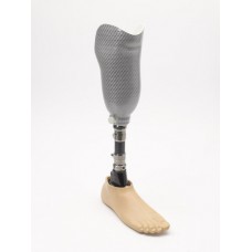 Artificial Lower Limbs