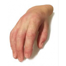 Cosmetic Hand