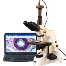 Digital Microscope