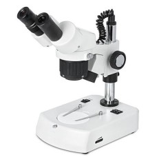 Stereo Microscope