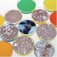 Cell Biology Products