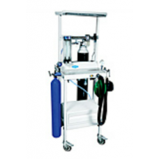 Economic Mini Major Economic Mini Major