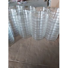 Glass Petri Dish