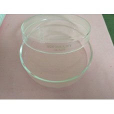 Glass Petri Dish