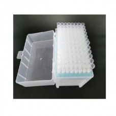 200ul Filter Tips