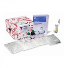 DNASure® Tissue Mini Kit