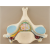 5TH CERVICAL VERTEBRA