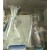 Erlenmeyer Flask