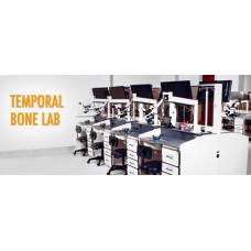 Temporal Bone Labs