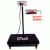 Heavy Duty Platform Scale (GM Series)
