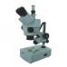 Stereo Zoom Microscopes