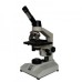 Medical – Compound Microscopes