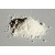 Titanium Dioxide