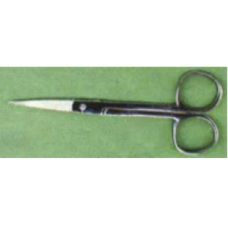 Biology Instrument-Disecting Scissors