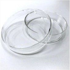 Falcon Cell Culture Dishes 60x15 Mm (petri) (353002)