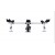 Penta Head Teaching Microscopes