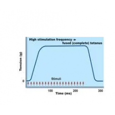 Tetanus Set Complete