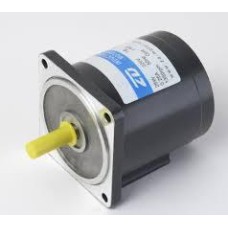 AC Gear Motor