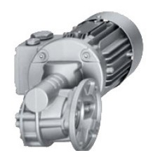 Worm Gear Motors With Variator