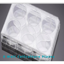 Sterile Cellculture plates