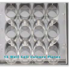 Sterile Cellculture plates