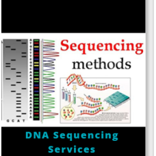DNA Sequencing Services