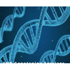 SNP GENOTYPING SERVICES