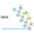 RNA extraction Services