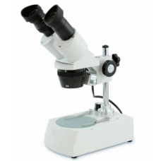 Dissecting Microscopes 