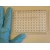 Anti CCP Elisa Kit